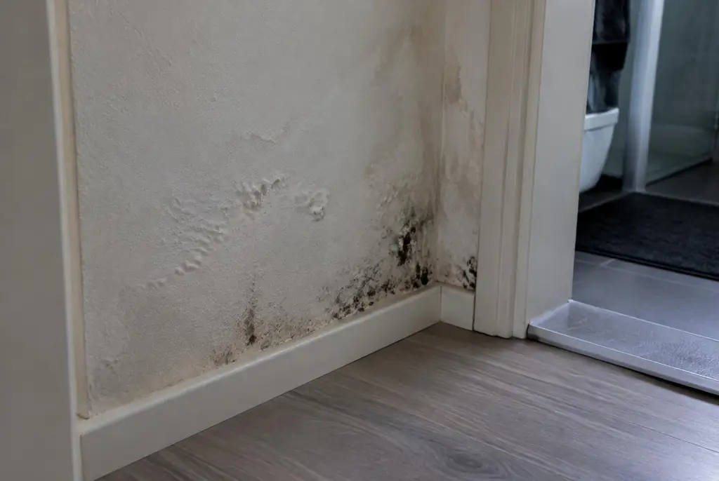Lekdetectie Mijdrecht – vochtplek met schimmel op een muur